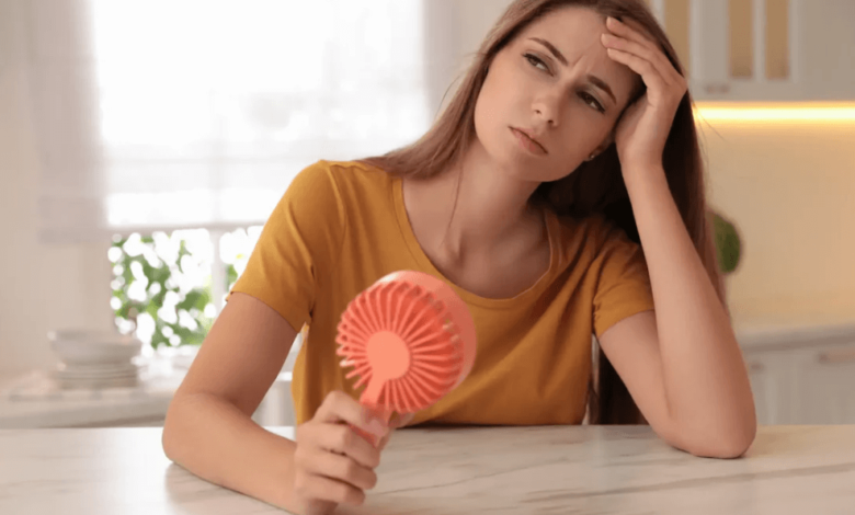 Hand Fans Keep You Cool in Every Season
