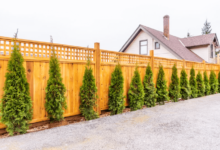 Year-Round Survival Guide For Your Wood Fence in Ottawa
