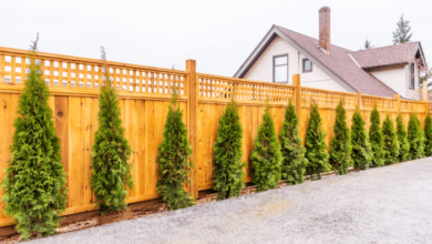 Year-Round Survival Guide For Your Wood Fence in Ottawa