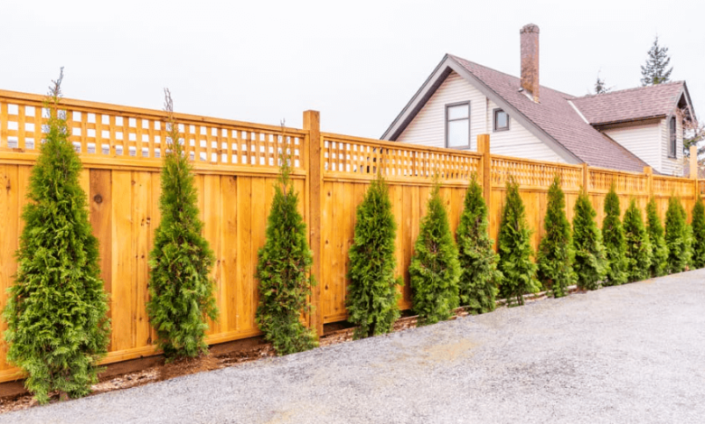 Year-Round Survival Guide For Your Wood Fence in Ottawa