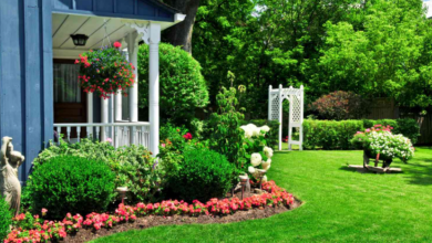 The Best Trees and Shrubs for Low-Maintenance Yards