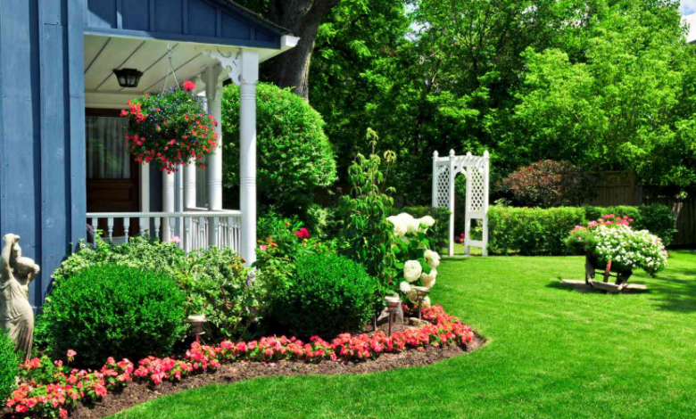 The Best Trees and Shrubs for Low-Maintenance Yards