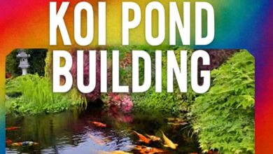 The Definitive Guide to Koi Pond Building: From Vision to Vibrant Ecosystem