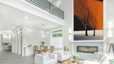Best Large Cat Prints for Modern Homes in 2026