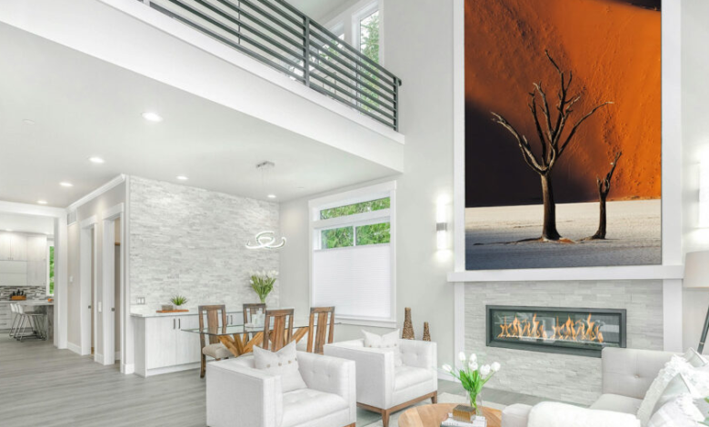 Best Large Cat Prints for Modern Homes in 2026