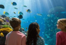 Marine Geology: A Step-by-Step Guide to Coral Reef Formation