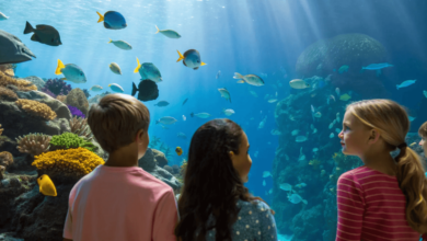 Marine Geology: A Step-by-Step Guide to Coral Reef Formation